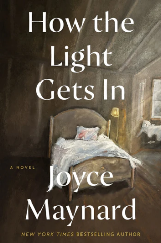 Cover of How the Light Gets In