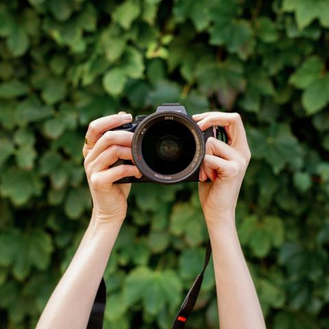 Hands holding a camera