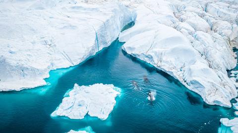 Photo of sea ice and water